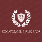 Kocatngel Birlik Spor