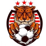 Bozyaka Fc