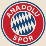 Anadolu Spor