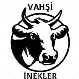 Vahi nekler